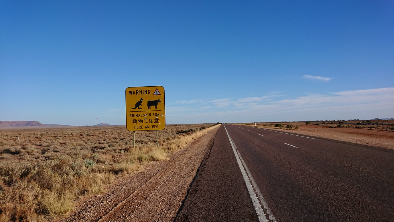 ��яo������